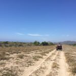 Peña Blanca ATV Adventures offers off road ATV tours